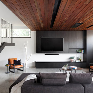 75 Most Popular Modern  Living  Room  Design  Ideas  for 2019  