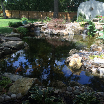 20'x25' Ecosystem pond with wetland filter