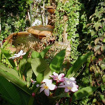 SEMI TROPICS