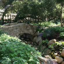 Landscape Ideas
