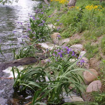 Shoreline Protection