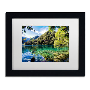 Philippe Hugonnard Tiger Lake Ornate Framed Art Contemporary Photographs By Trademark Global