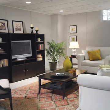 Basement Finishing Ideas
