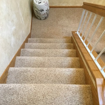 Living Room & Stairs | Speckled Tweed Carpet