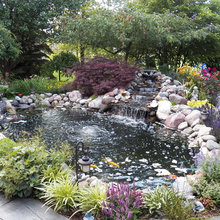 Patio pond