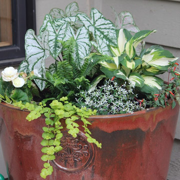 Summer Container Garden