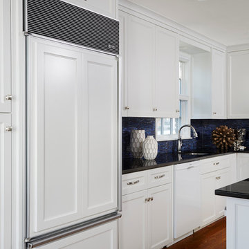 A Kitchen Remodel that Sings the Blues? The Results are Amazing.