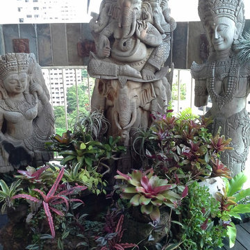 Balcony Garden