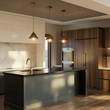 Project Modern Mountain