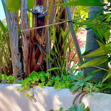 Un jardin exotique et dépaysant...