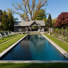 Backyard lap pool