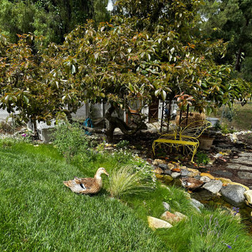 Childhood Oasis