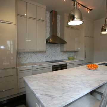Warehouse District Contemporary Kitchen with High Gloss Cabinetry
