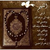 Foto von Nourhan Nhm