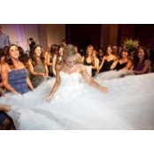 Stephanie Sewitz's photo