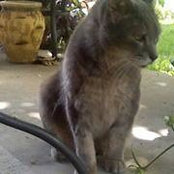 Patricia Haskill's photo