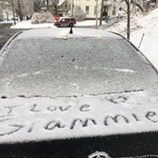 Deborah Schofield's photo