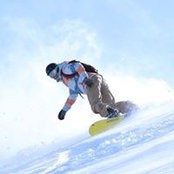 Matt Brown's photo
