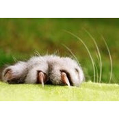 Hazel Beswick's photo
