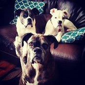 Sara Braydon's photo