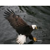 Erica Sutherland's photo