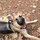 deb_carson64