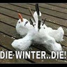 Maria Jensen's photo