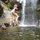 claire_elisabeth