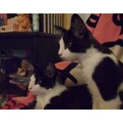 Barbie Heydweiller's photo