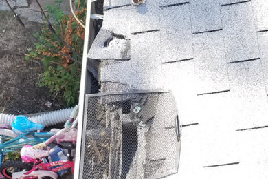 Does Your Roof Look Like This?