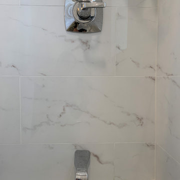 Modernized Lakeview Bathroom