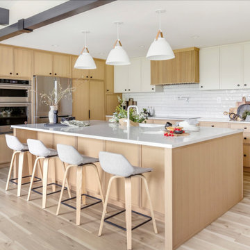 UNION STREET RENOVATION | KITCHEN | PORT MOODY