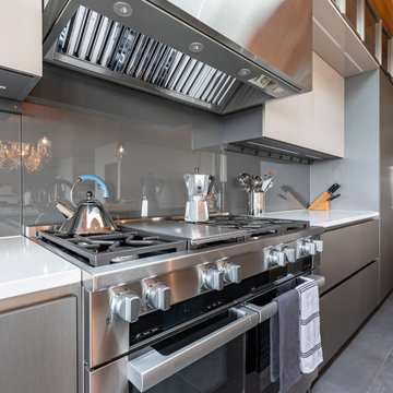 KIRKLAND KITCHEN DESIGN & PEDINI CABINETRY