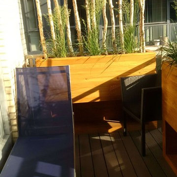 Decking with Planters and Privacy Screens