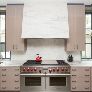European Modern Home in Naperville