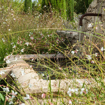 Jardin - Saint-Tropez