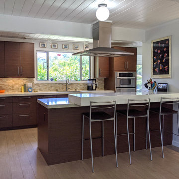San Rafael Eichler Kitchen and Home Remodel