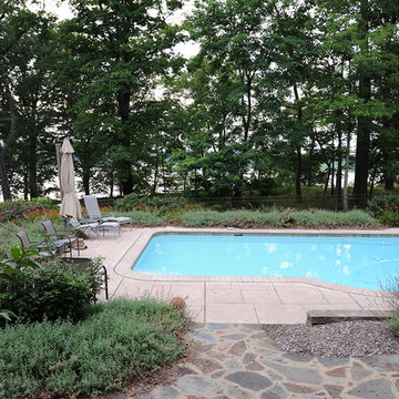 Pool Surround