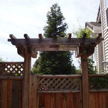 Trellis Designs