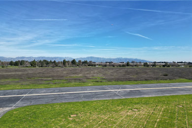 Open Field