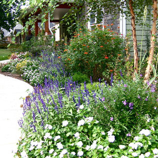 Birch Tree Landscaping Ideas & Photos | Houzz