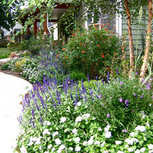 Flower beds