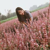 Karen Lo's photo
