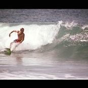 Andy Wynandss billede