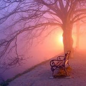 Beth Bierman's photo