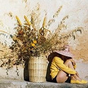 Sal Lazarovic's photo