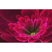 Rozalia Preininger's photo