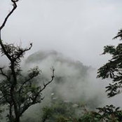 Shilpa Bansal's photo