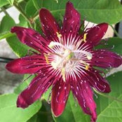 Jean Decker's photo