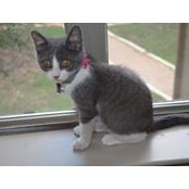 Susan Doherty's photo